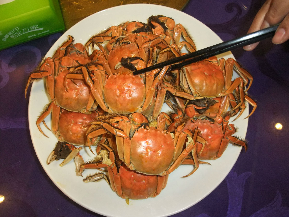 大闸蟹