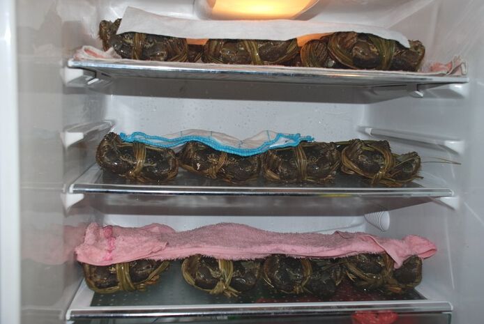 大闸蟹