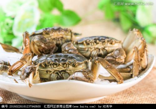 大闸蟹